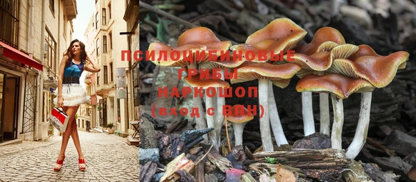 трава Верхний Тагил