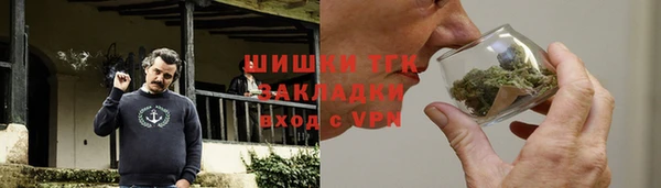 гидра Богородицк