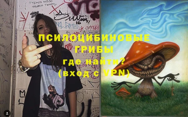 MDMA Болотное