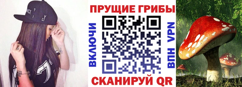 Галлюциногенные грибы GOLDEN TEACHER  магазин продажи наркотиков  Кадников 